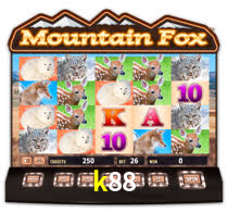 Interface Premium k88